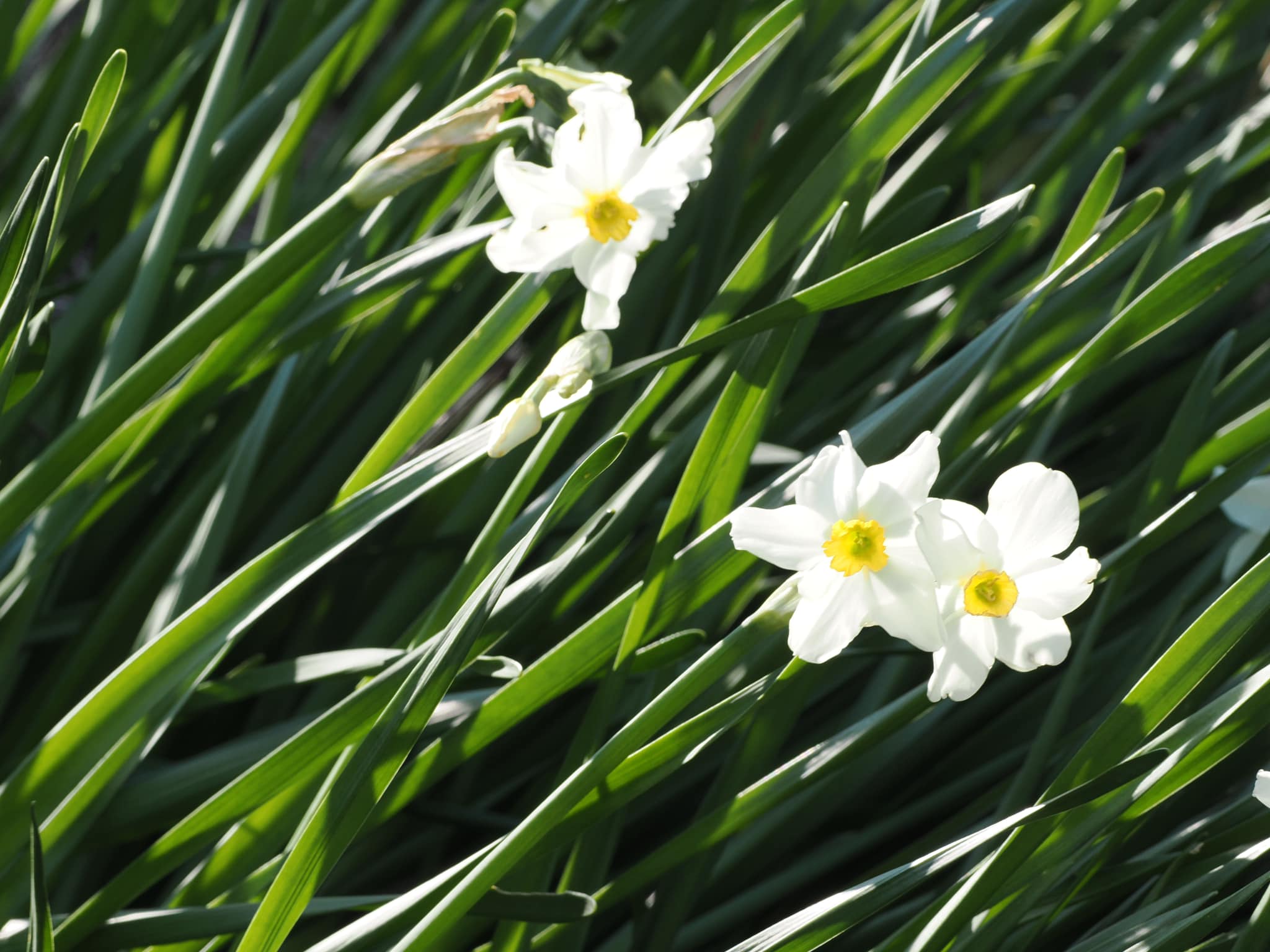 Heptonstall & Hebden Bridge Trip